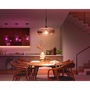 Philips Hue White and colour ambience 8719514288157 смарт осветление Умна крушка Bluetooth/Zigbee 15 W