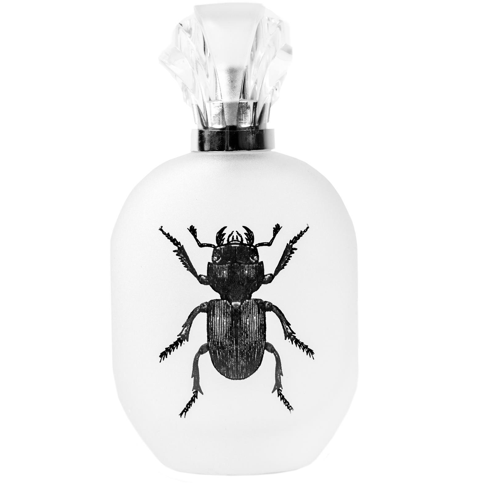 CAPTAIN FAWCETT Alessandro Manfredini EdP 50 ml (5060338441659)