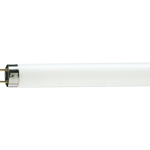 Philips MASTER TL-D 90 De Luxe neonlampe 18 W G13 Dagslys