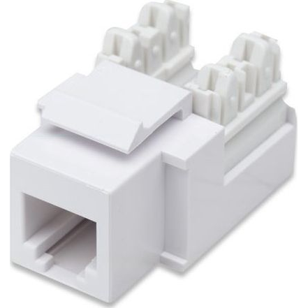 Intellinet 210843 modulo Keystone
