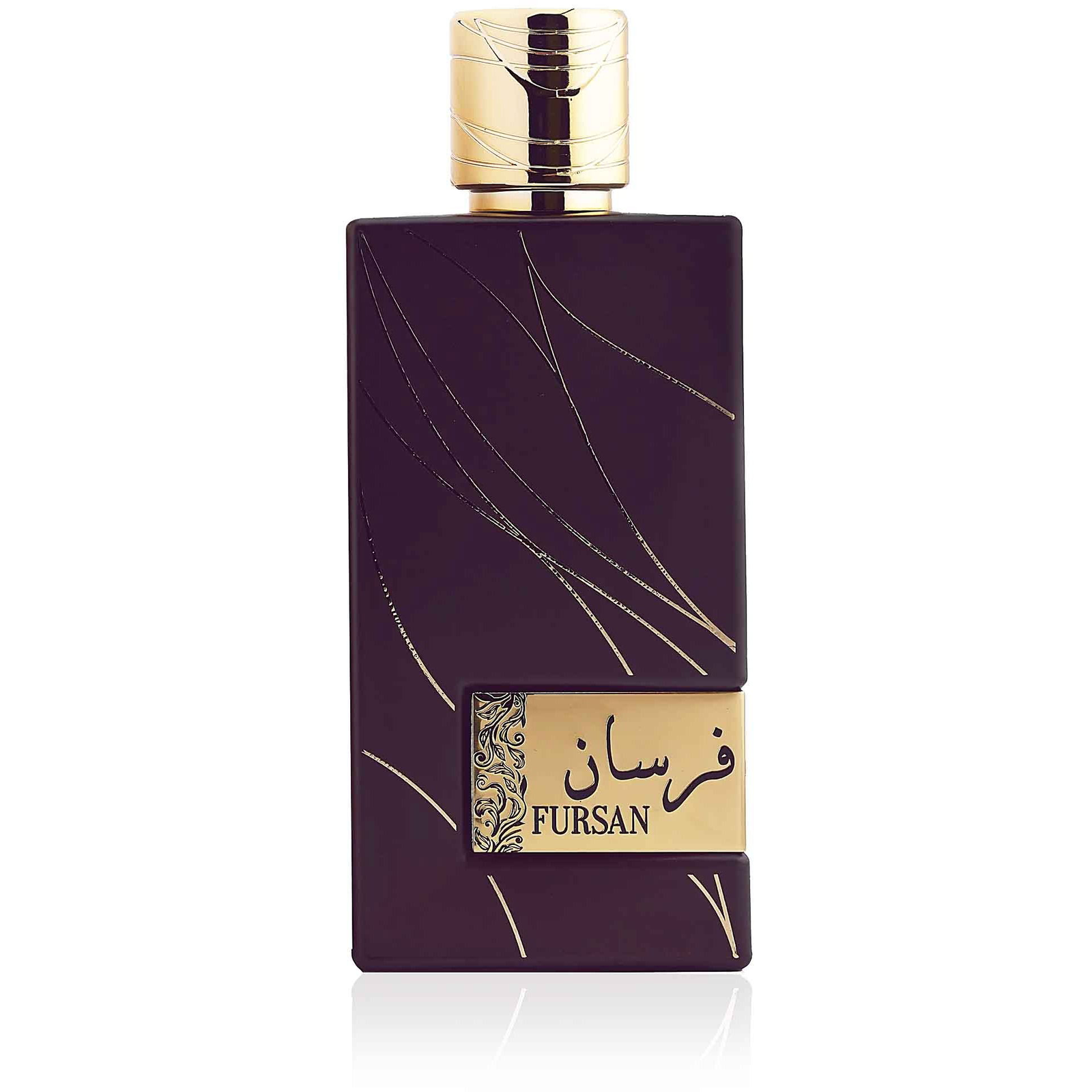 KHADLAJ Fursan Brown EdP 100 ml (6291107977768)