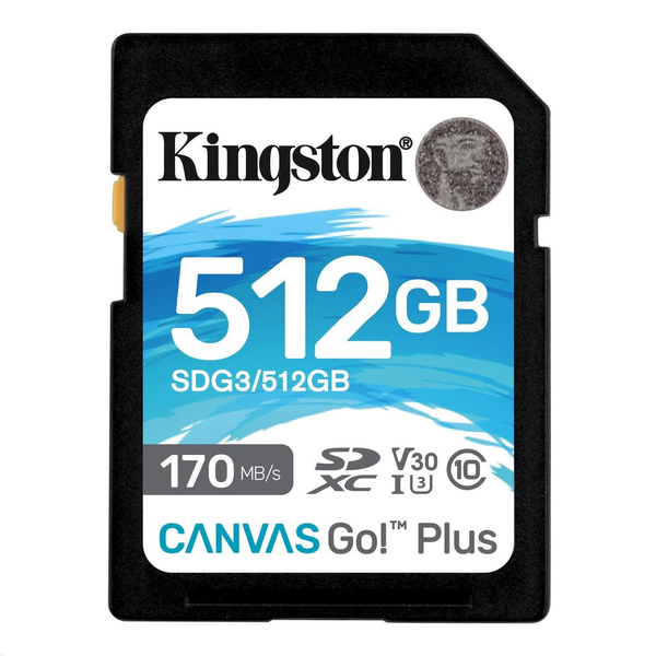 Kingston Technology Canvas Go! Plus SD Classe 10