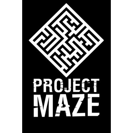 PROJECT MAZE (PC - Steam elektronikus játék licensz)