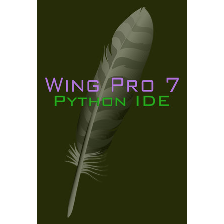 Wing Pro 7 (PC - Steam elektronikus játék licensz)