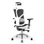 Kancelářské křeslo Diablo Chairs V-Basic Ergonomic do 150 kg Černobílé