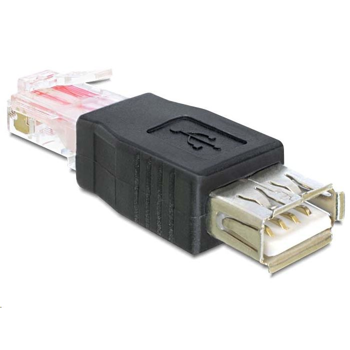 Delock 65234 USB anya > RJ45 apa adapter (65234)