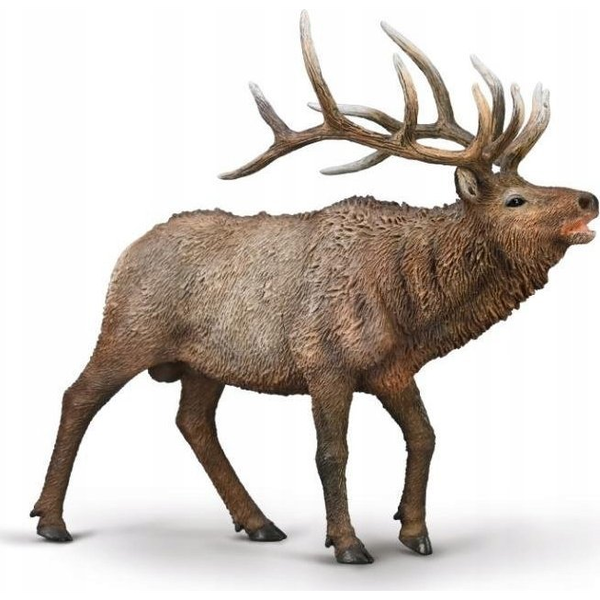 COLLECTA figurine Elk, 80021