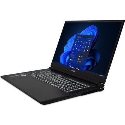 TERRA MOBILE GAMER ELITE 5v3 Intel® Core i9 i9-13900HX Laptop 43,9 cm (17.3