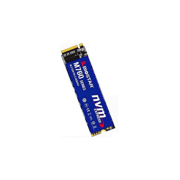 Disco Ssd Biostar M760 256gb