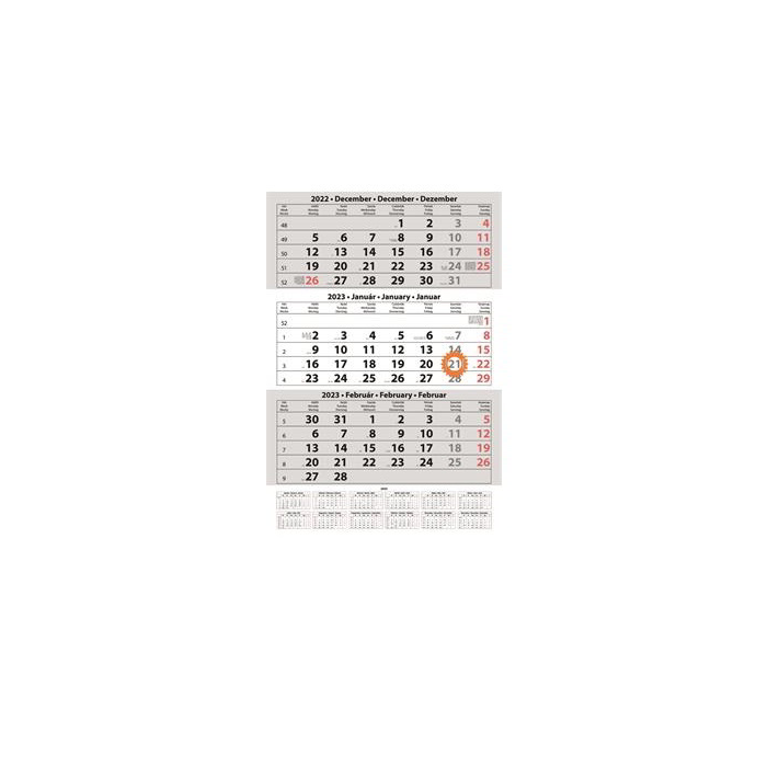 Dayliner 330 x 880mm Speditőr naptár - Fehér (10 db) (DL2SP-1H3-FU-10)