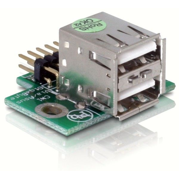 Delock DL41763 USB Pinheader male -> 2x USB2.0 female (DL41763)