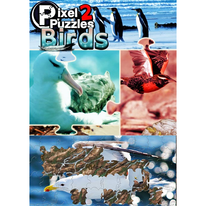 Pixel Puzzles 2: Birds (PC - Steam elektronikus játék licensz)