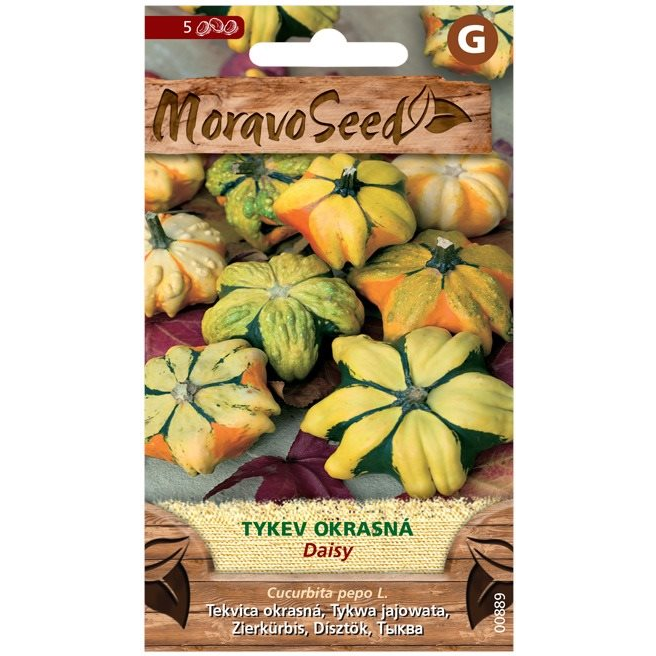 Dísztök DAISY (4934mm)