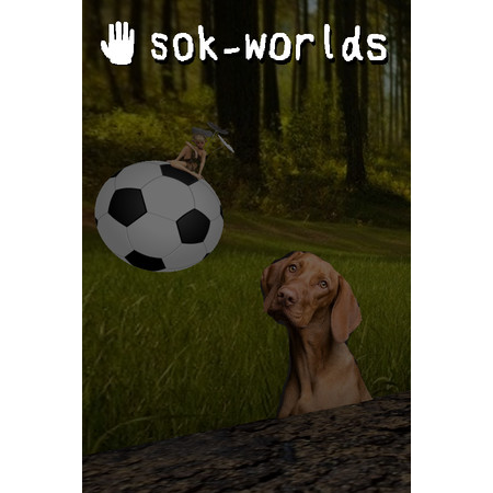 Sok-worlds