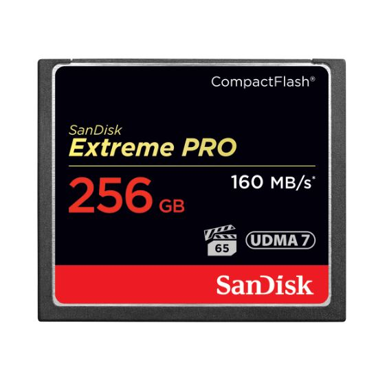 256GB Compact Flash Sandisk Extreme Pro (SDCFXPS-256G-X46)