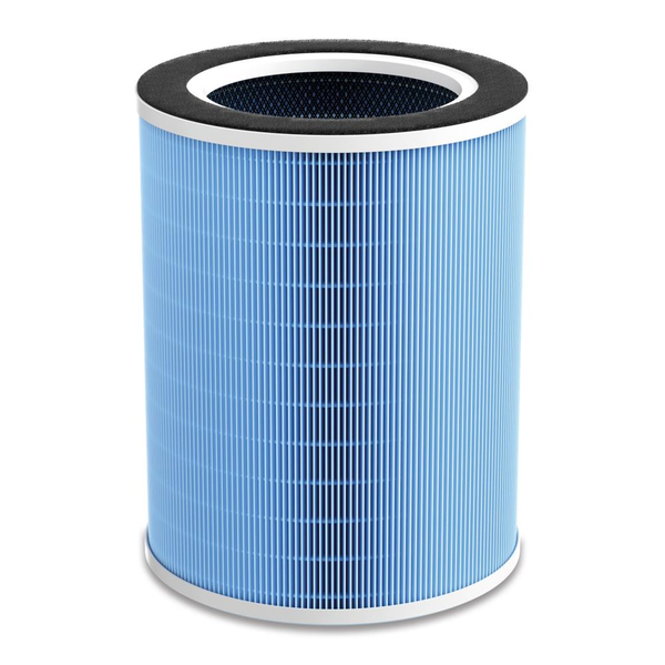 AIR PURIFIER ACC FILTER HEPA13/ALPHA COP002399 STYLES