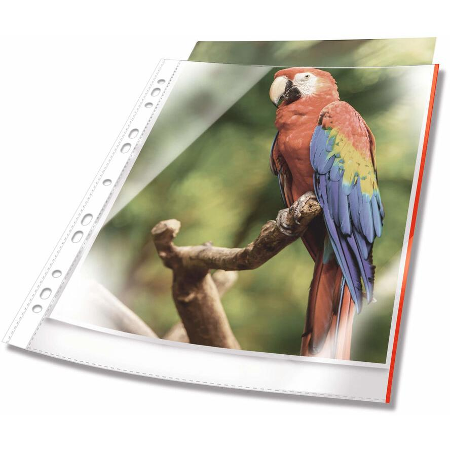 DURABLE Prospekthüllen A4 oben offen 25 Stück glasklar, rot (265503) (265503)