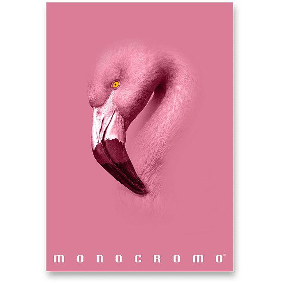 PIGNA Monocromo Pink A4-es, varrott, vonalas, véletlenszerű minta (0233012 1R)