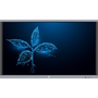 65" Avtek Touchscreen 5 Connect WordWall 3 szoftverrel és falikonzollal (SKCAVTEKB586KVNW)
