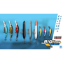 Fishing Sim World: Pro Tour - Big Fish Lure Pack DLC