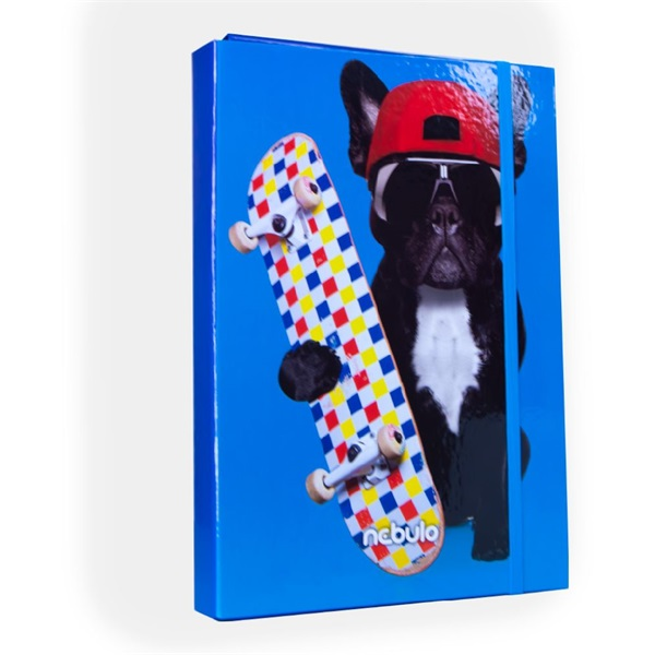 Nebulo Deszkás bulldog A4 füzetbox (P-FB-A4-DESZKÁSBULLD)