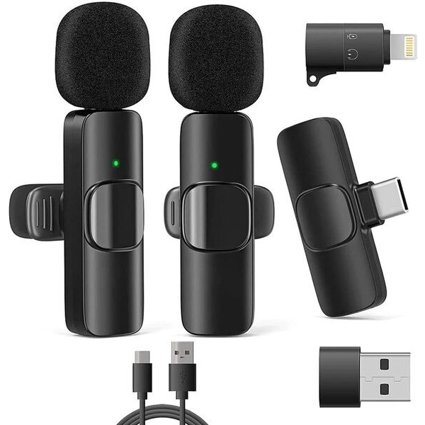 RealPower HS-1,Wireless Microphone,2 Mikrofone,1 Empfänger