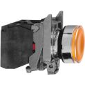 Schneider Electric XB4 Knop