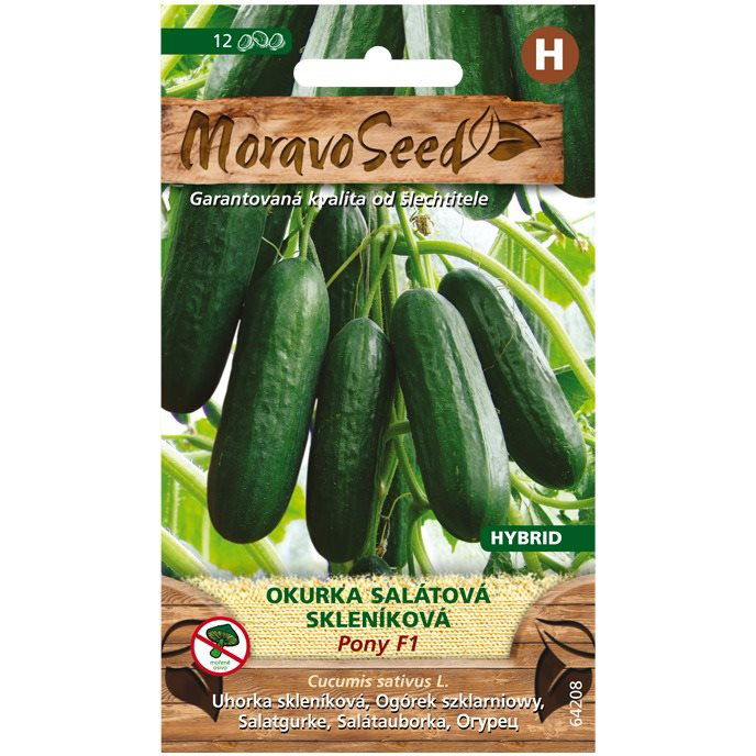 Üvegházi saláta uborka PONY F1 (2068mm)