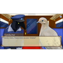 Hatoful Boyfriend: Holiday Star