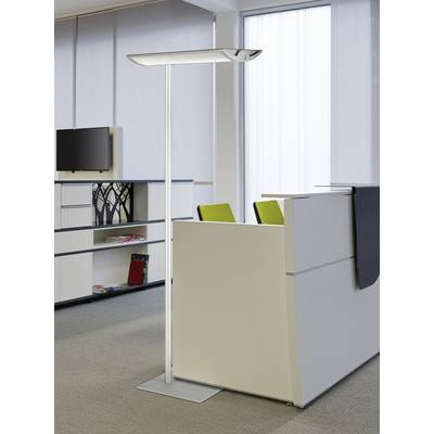 Maul maioris (8251895.CH) Állólámpa LED (8251895.CH)