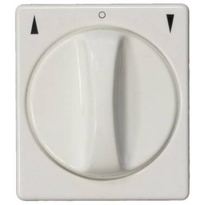 Kaiser Nienhaus 321130 Forgókapcsoló Falra szerelhető (321130)