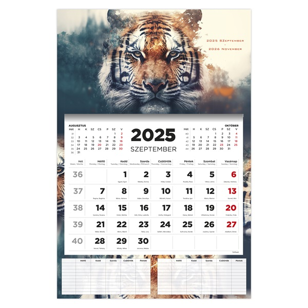 Kalendart 2025/2026 Tiger 16 havi diák falinaptár (26D7620-000)