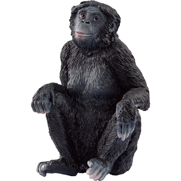 schleich WILD LIFE 14875 gyermek játékfigura