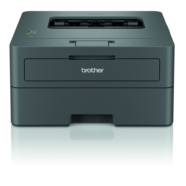 Brother HL-L2402D laser printer 1200 x 1200 dpi A4