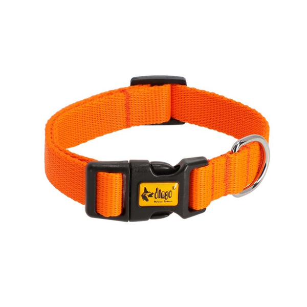 Dingo Energy 37-61 cm Kutya nyakörv - Narancssárga
