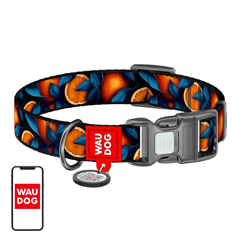 Waudog Oranges Kutyanyakörv QR kóddal (M) 28-40cm - Narancs mintás (281-4054)