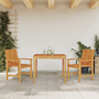 Set Dining 3 Piese din Lemn Masiv de Acacia