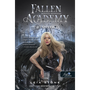 Fallen Academy - Bukottak Akadémiája - Második év