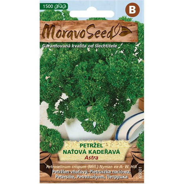 Fodros petrezselyem ASTRA (2510mm)