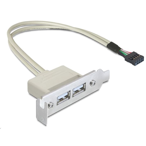 DELOCK Slotblech 2x USB A
