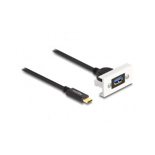 Delock SuperSpeed USB-C 3.2 Gen2 -> USB-A 3.2 Gen 2 M/F Easy 45 modul 1m