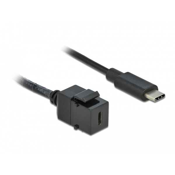 Keystone modul USB 3.0 C zásuvka na USB 3.0 C zástrčka Delock 86398