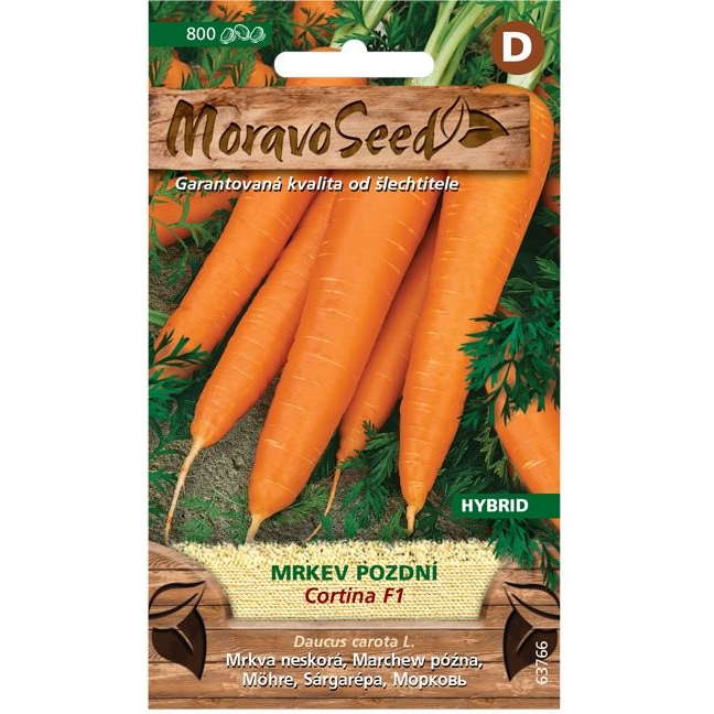 MORAVOSEED Sárgarépa késői CORTINA F1 - hibrid (1901mm)