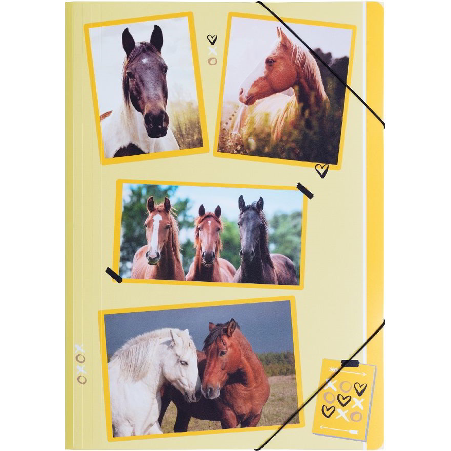 Pagna A4 PP gumis mappa - Lovak (P2171515)