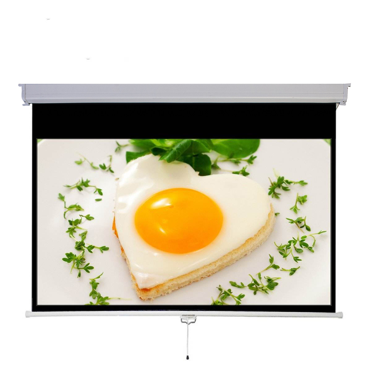 MEDIUM Rollo vetítővászon 305x229 cm 150 4:3 (MAN30522915043) (MAN30522915043)