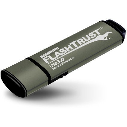 iStorage Kanguru FlashTrust USB 3.0 32GB USB-nøgle USB Type-A 3.2 Gen 1 (3.1 Gen 1) Grå