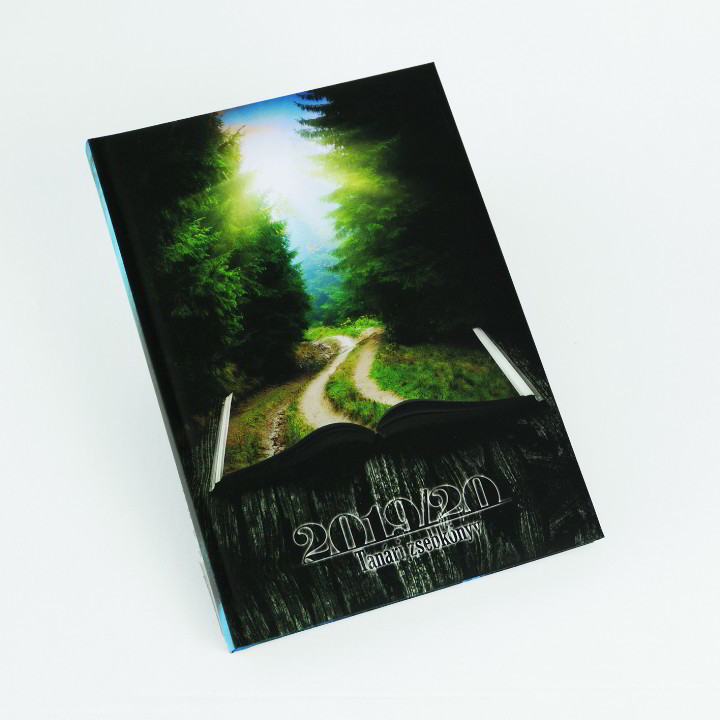 Realsystem Heti A5 Tanári zsebkönyv (5311-62)