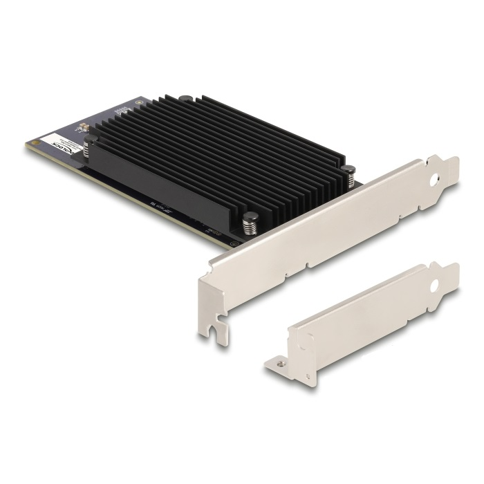 Delock PCI Express x8 Hailo-8 AI processzor x2 AI-Accelerator (31416) (31416)