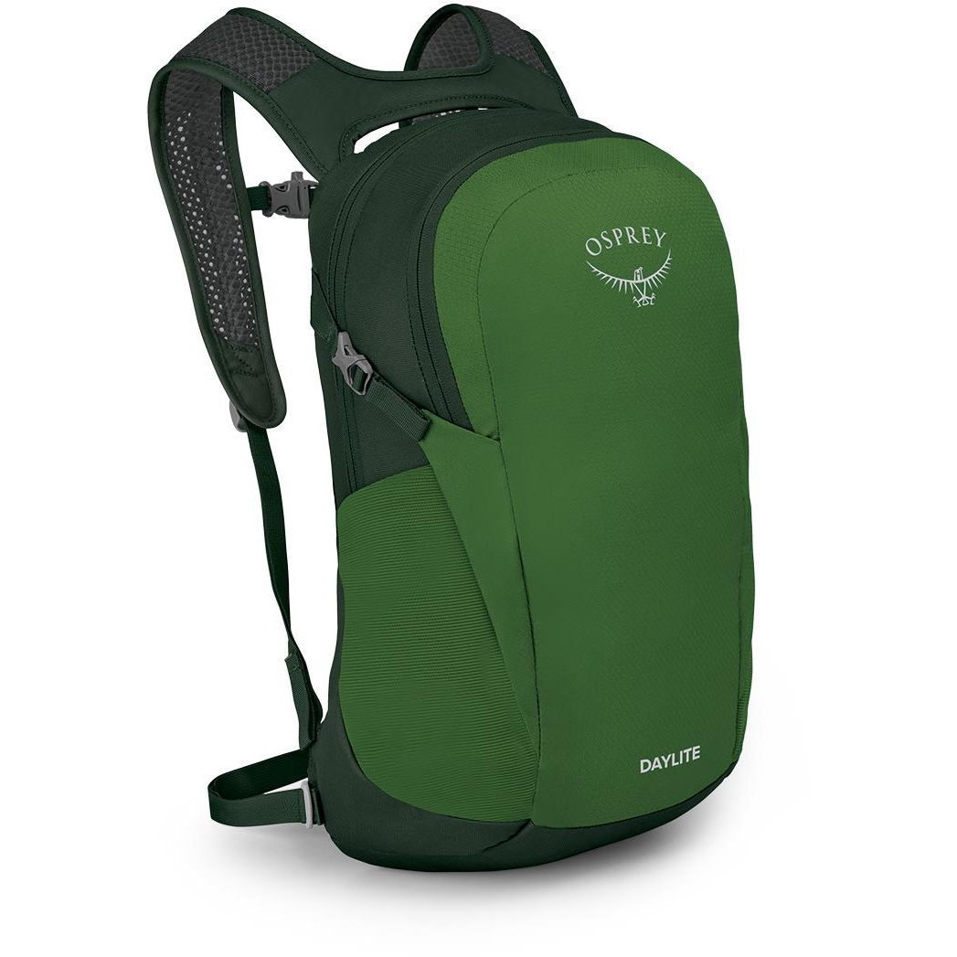 Osprey Daylite Green Belt / Green Canopy (843820185256)