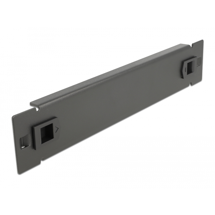 Delock 10 hálózati cabinet zárt fedéllel eszközmentes 1U fekete (66576) (66576)